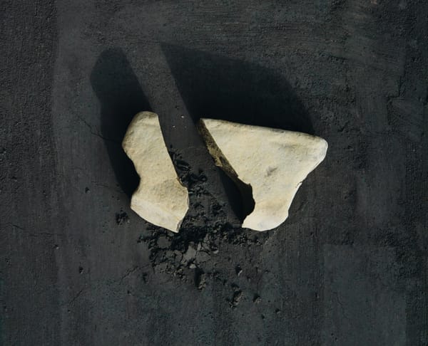 Why We Are So Disconnected From Ourselves—and How we can Reconnect (Loneliness Part II)