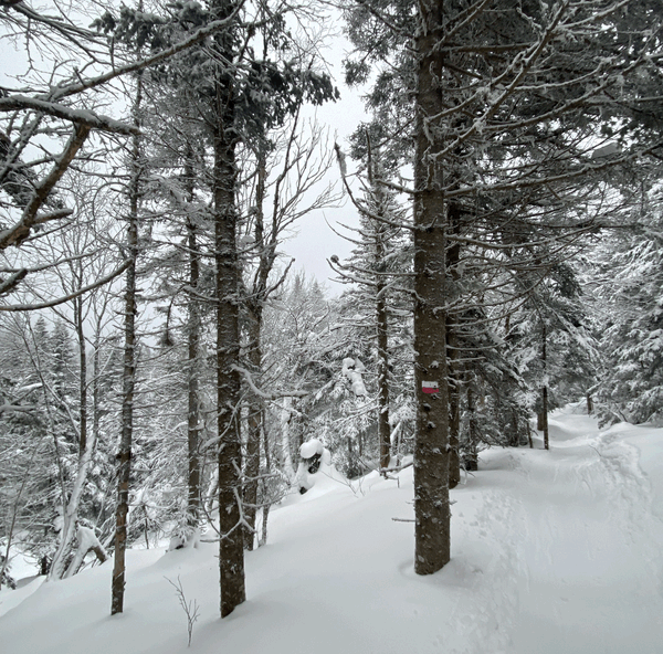 Books, Fear, Ego, and Transition States (2026 Week 1 Coffee Thoughts)